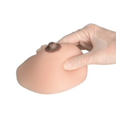 Lactation & Breastfeeding Education Model, Hemisphere, Small/Medium Size