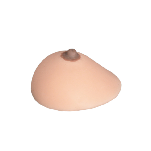 Lactation & Breastfeeding Education Model, Hemisphere, Small/Medium Size