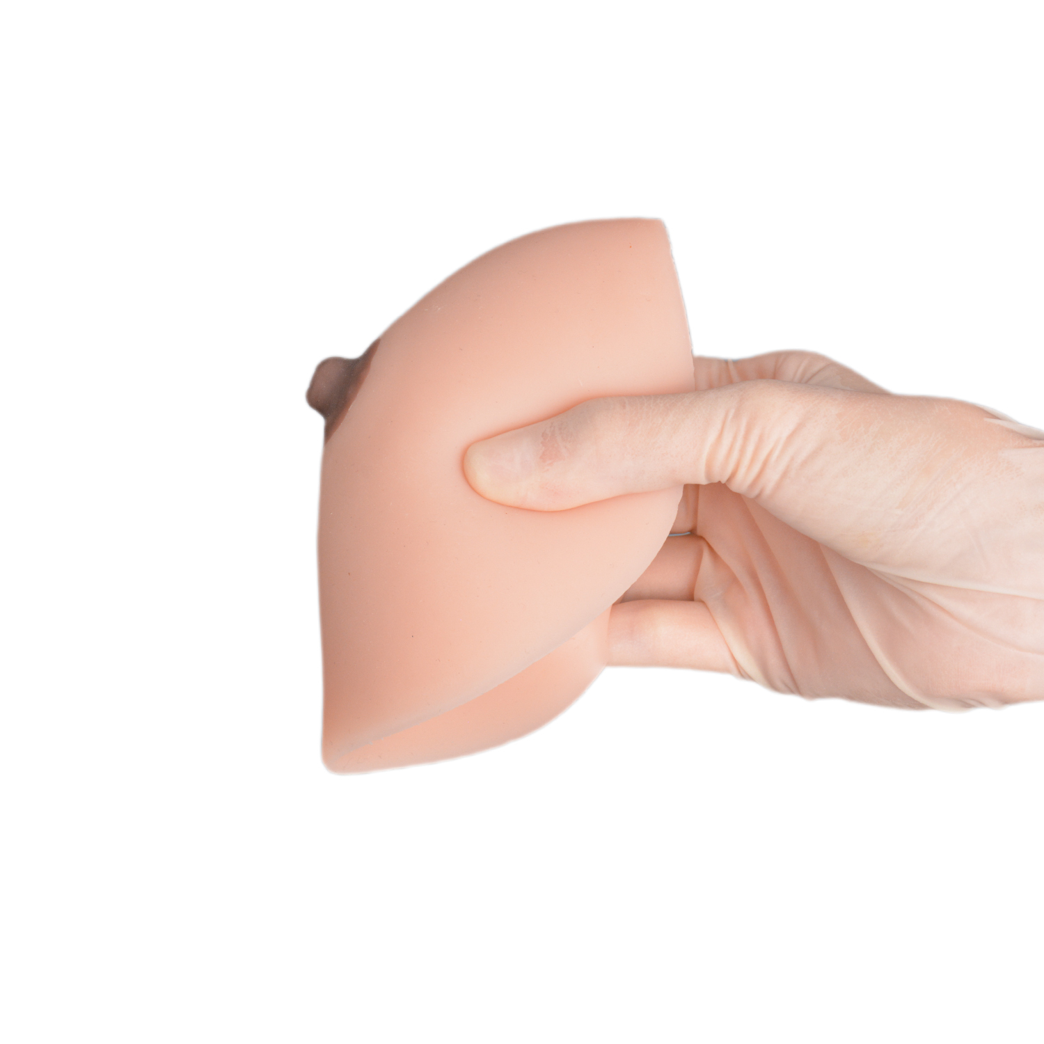 Lactation & Breastfeeding Education Model, Hemisphere, Small/Medium Size