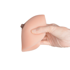 Lactation & Breastfeeding Education Model, Hemisphere, Small/Medium Size