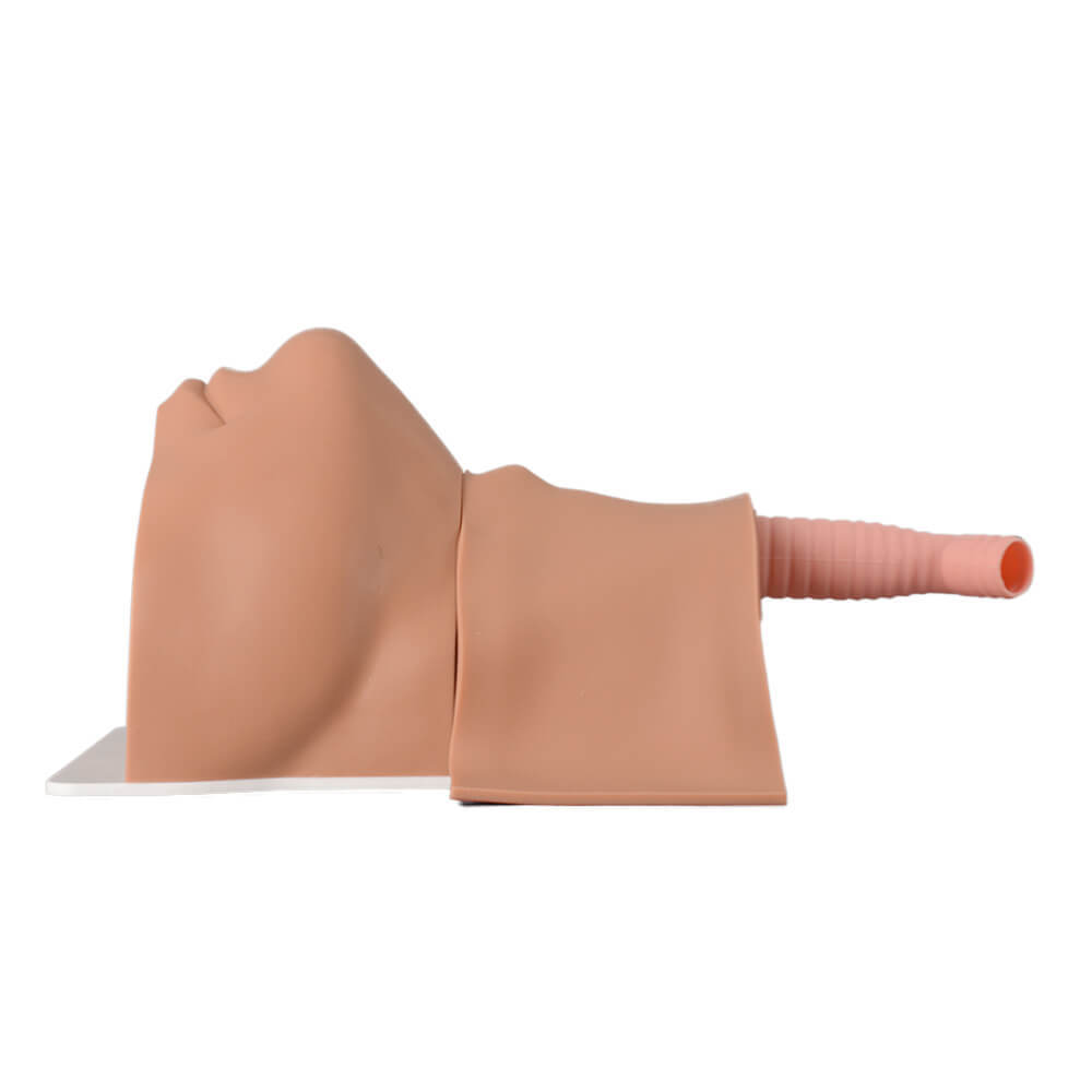 Cricothyrotomy Task Trainer for Emergency Airway Management
