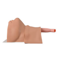 Cricothyrotomy Task Trainer for Emergency Airway Management