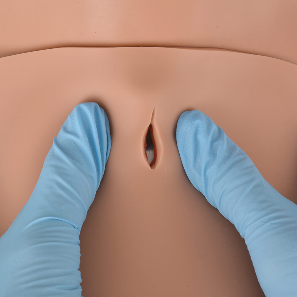 Cricothyrotomy Task Trainer for Emergency Airway Management