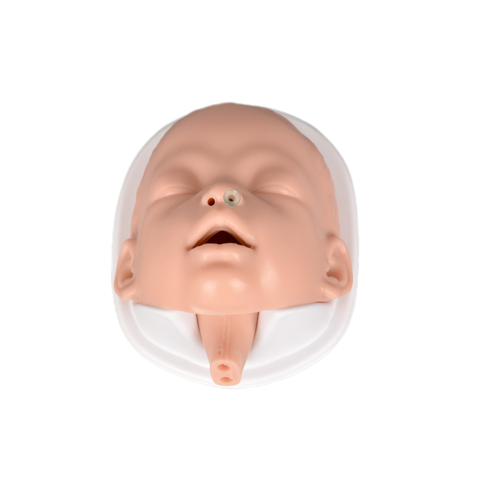 Baby head model for pediatric intubation training
