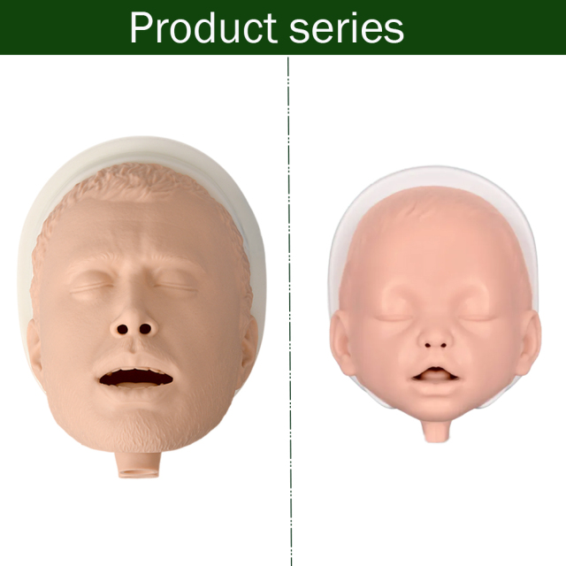 adult and infant airway management skills trainer
