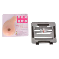 breast models with lumps for self examination
