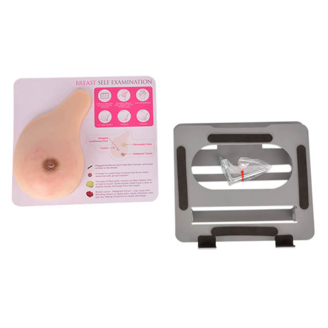 breast models with lumps for self examination