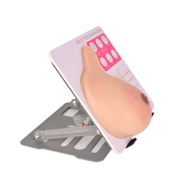 breast models with lumps for self examination
