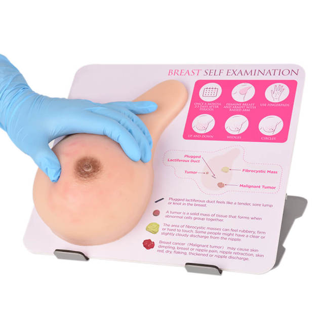 breast models with lumps for self examination