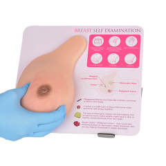 breast models with lumps for self examination