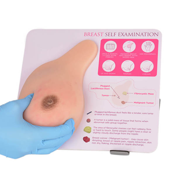 breast models with lumps for self examination