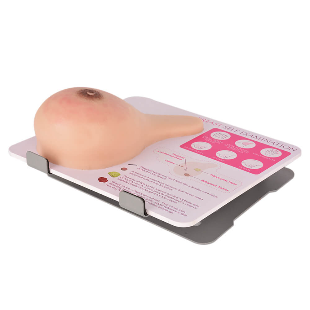 breast models with lumps for self examination