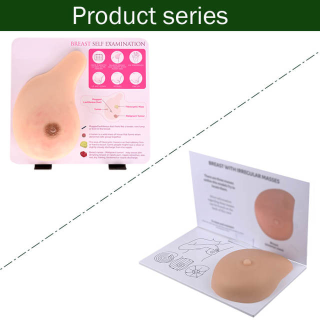 breast models with lumps for self examination