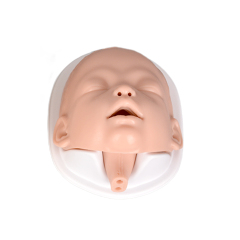 Infant head model used for intubating neonate