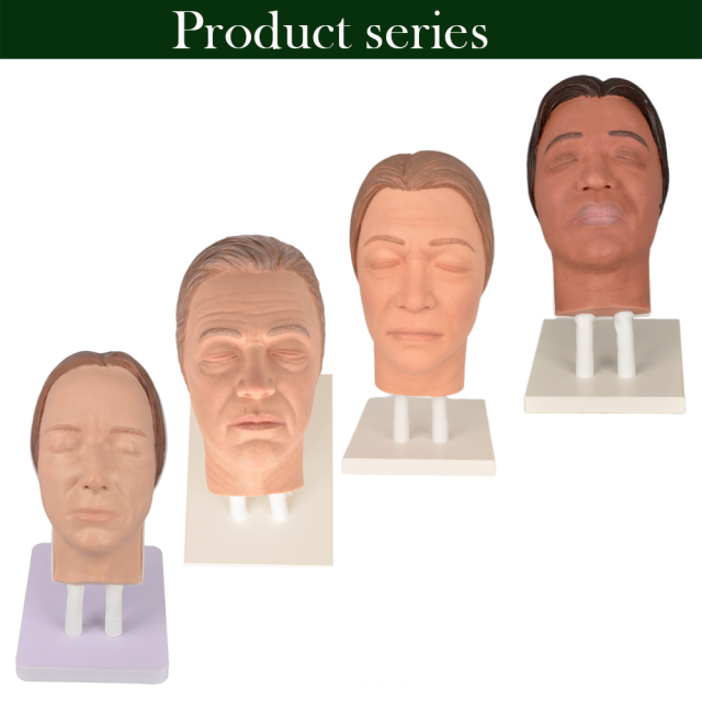 four races silicone facial injection manikins