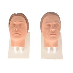 silicone facial injection manikin