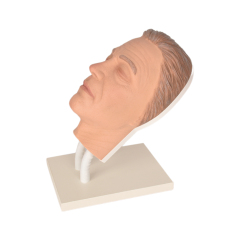 facial injection manikin on right