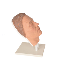 silicone facial injection manikin on left