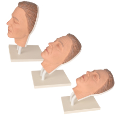 silicone facial injection manikin on different angles