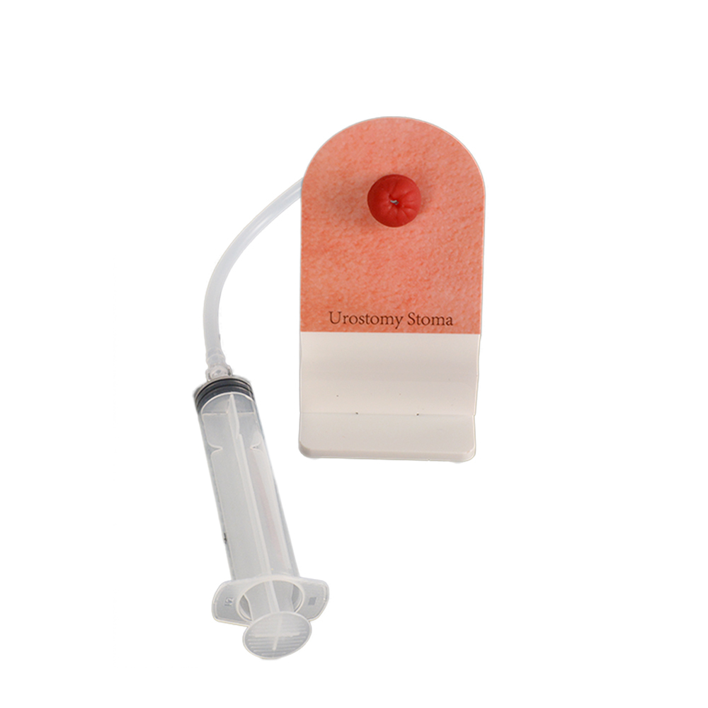 urostomy stoma care training model