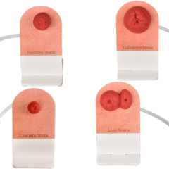 sticky ostomy stoma care training models set