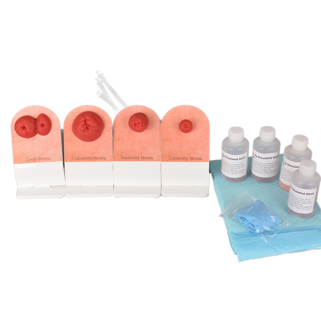 ostomy training models set