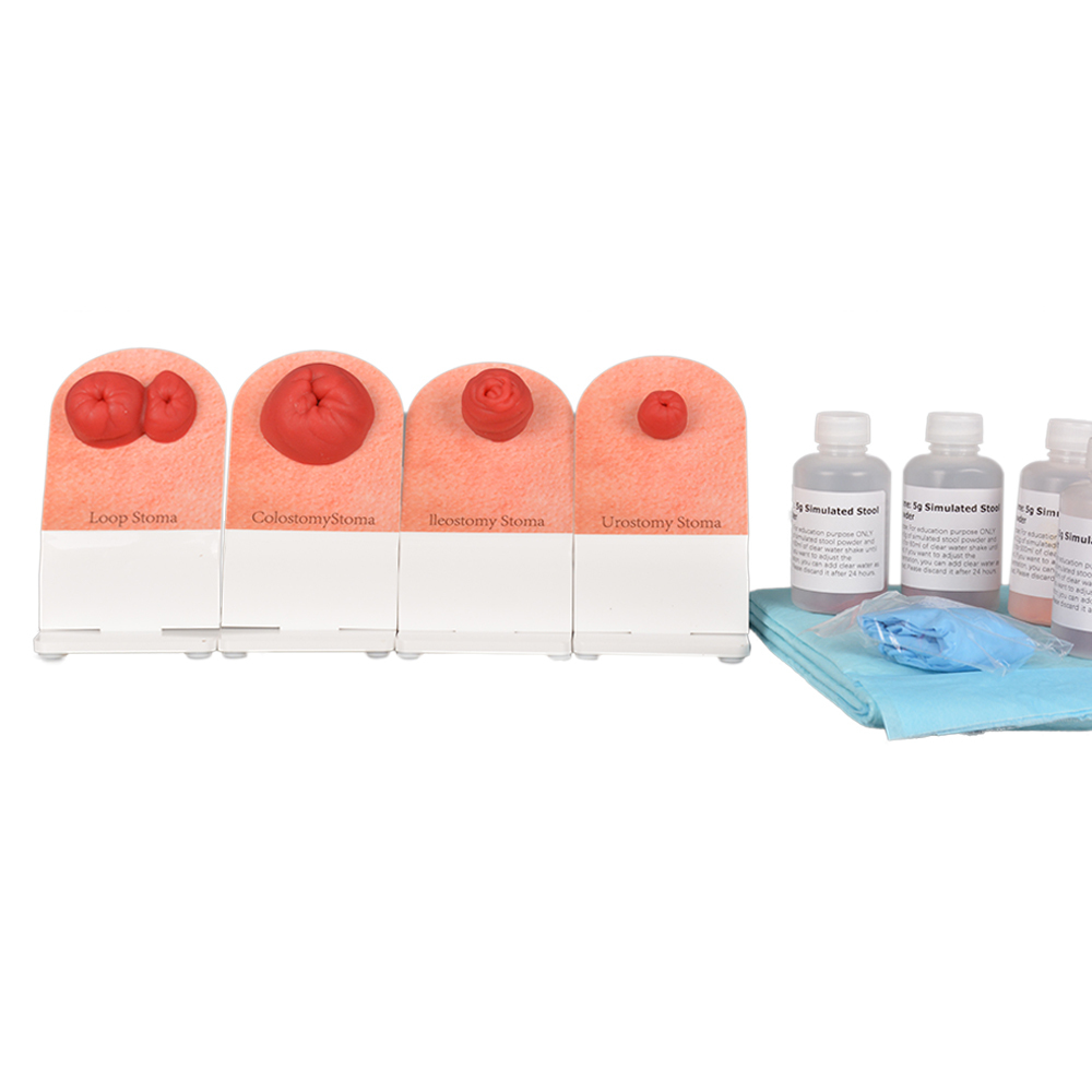 ostomy care simulator models set