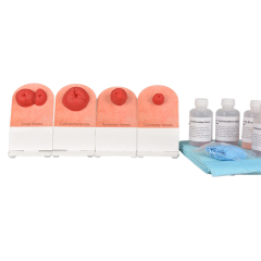 ostomy care simulator models set