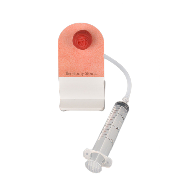 lleostomy care model