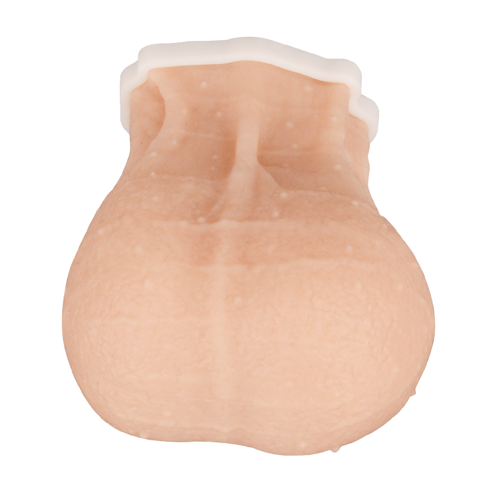 testicular TSE self-exam model