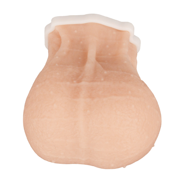 testicular TSE self-exam model