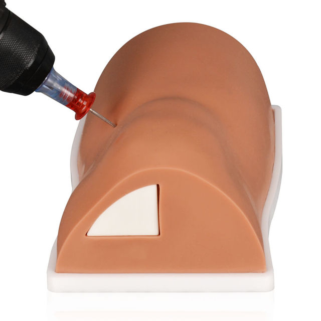 Tibia Intraosseous(IO) Trainer with Detachable Inner Bone