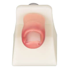 Detachable Ingrown Toenail Trainer with Base