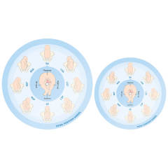 Customizable Dual-Sided Fetal Position Wheel, Large & Small Size