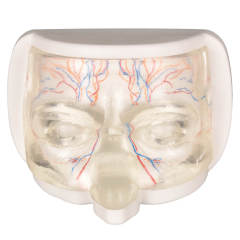 Transparent Upper Facial Injection Training Model with Simulated Blood Vessels