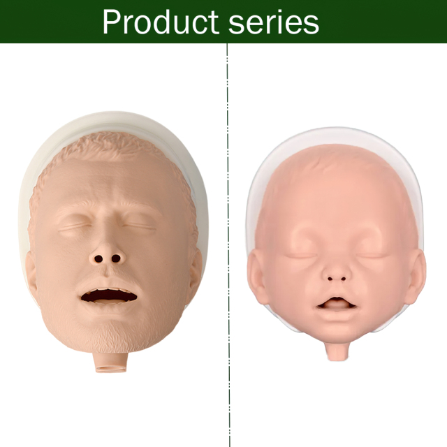 Simple Airway Management Training Simulator
