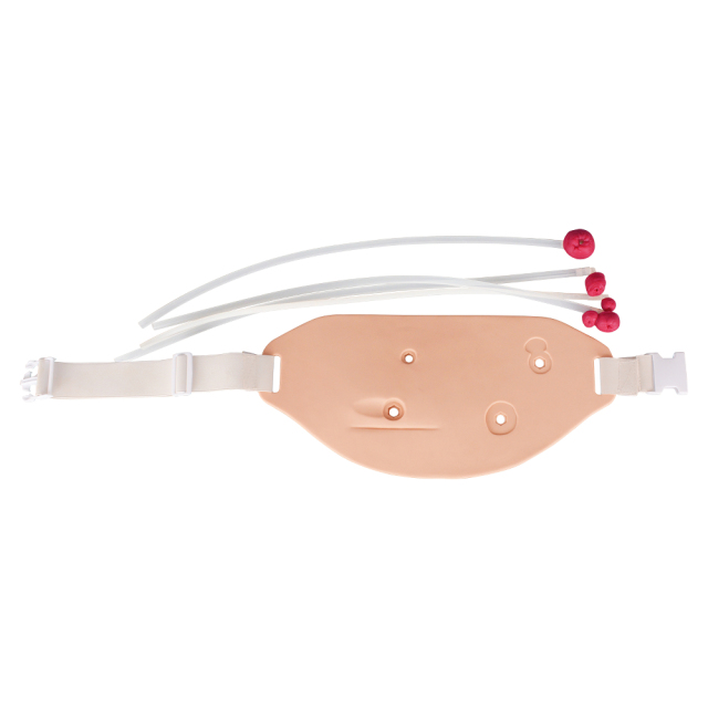 Wearable Ostomy Care Simulator