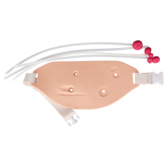 Wearable Ostomy Care Simulator