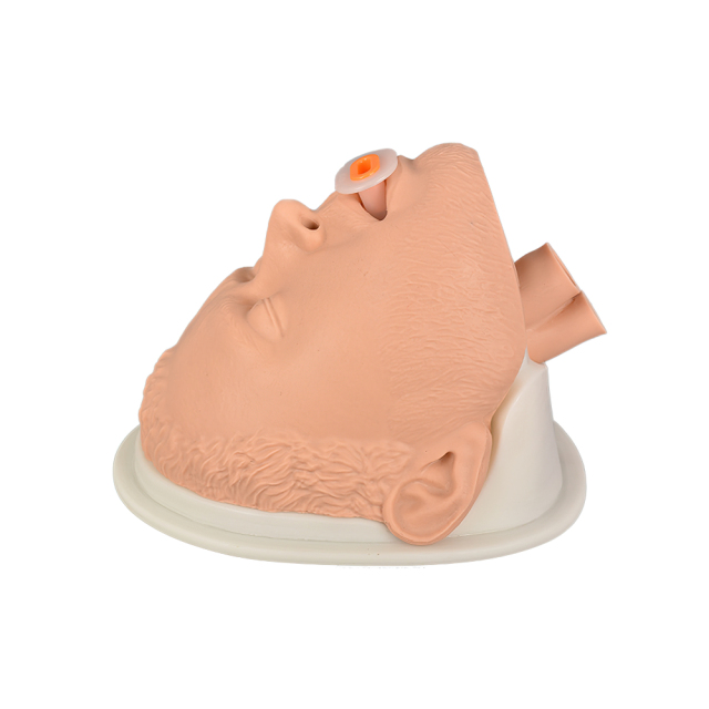Simple Airway Management Training Simulator