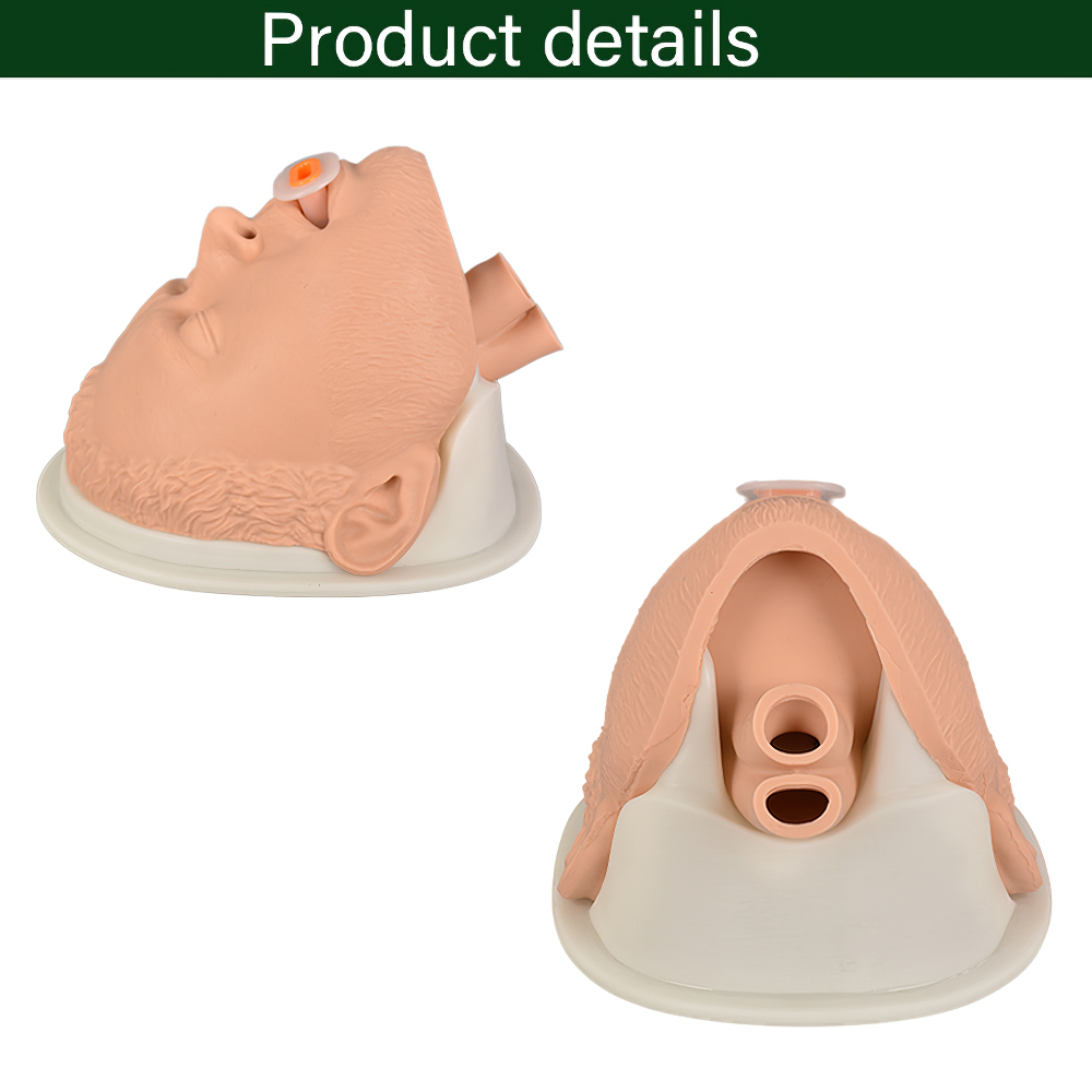 Simple Airway Management Training Simulator