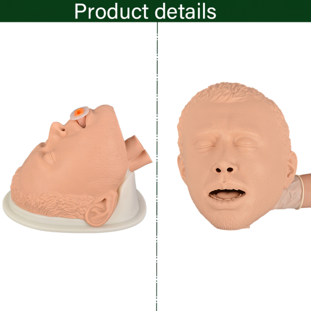 Simple Airway Management Training Simulator