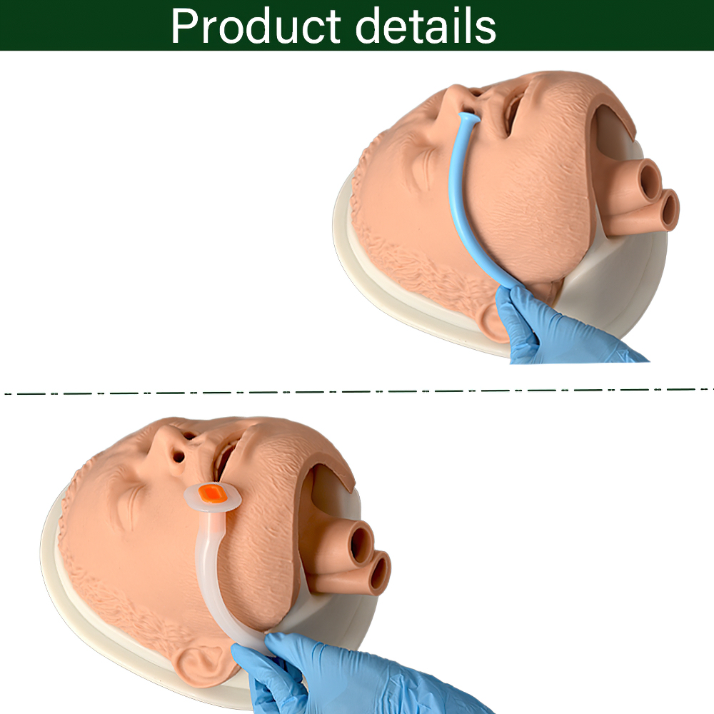 Simple Airway Management Training Simulator