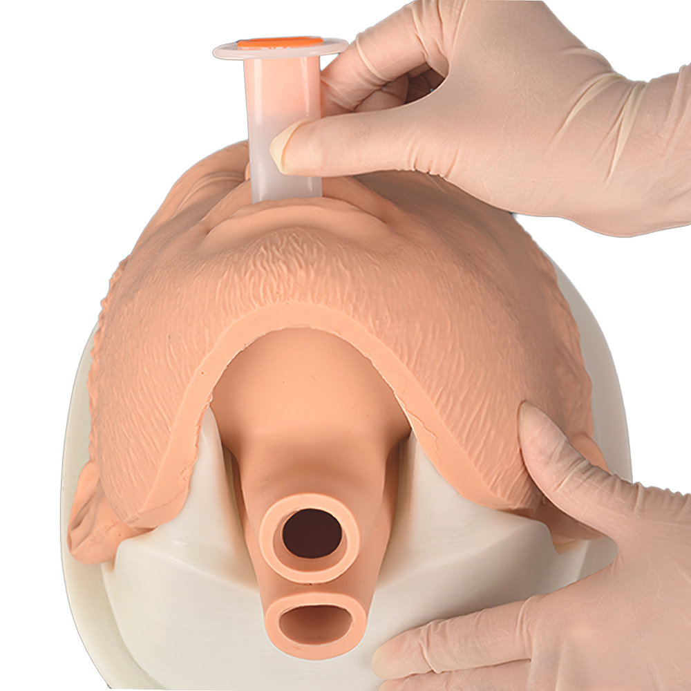 Simple Airway Management Training Simulator