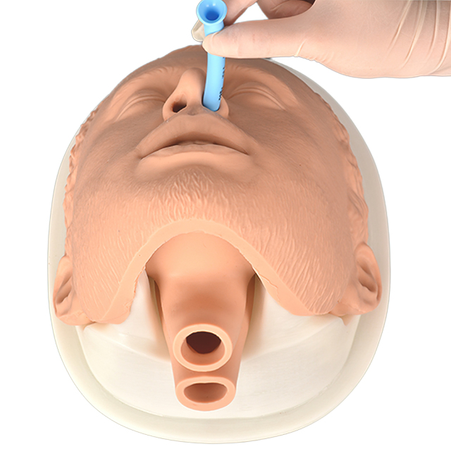 Simple Airway Management Training Simulator