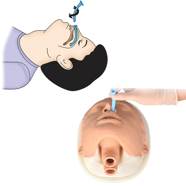 Simple Airway Management Training Simulator