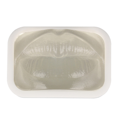 Transparent Injection Training Lip Model
