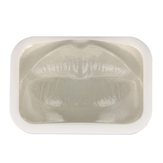 Transparent Injection Training Lip Model