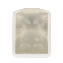 Transparent Injection Training Nose Model