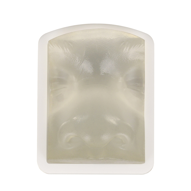 Transparent Injection Training Nose Model