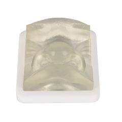 Transparent Injection Training Nose Model